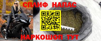 дживик Славгород