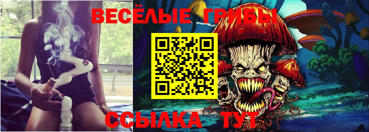 Междуреченск  Псилоцибиновые грибы Psilocybine cubensis  Вход с VPN 